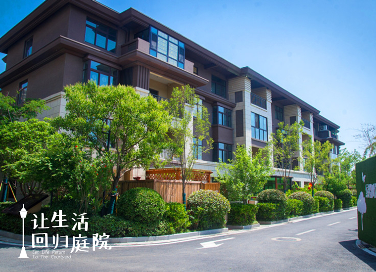 前后张望南阳50年：这样的天井，很难再有了！