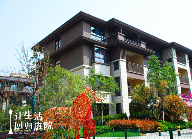 前后张望南阳50年：这样的天井，很难再有了！