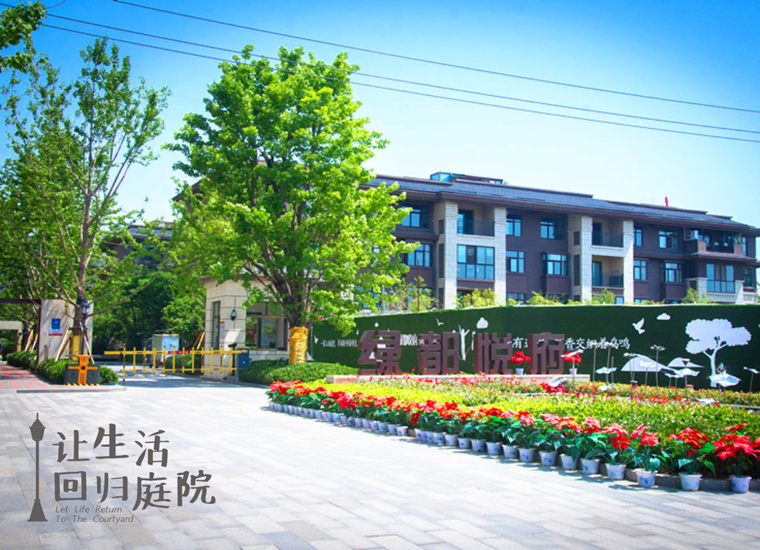 前后张望南阳50年：这样的天井，很难再有了！