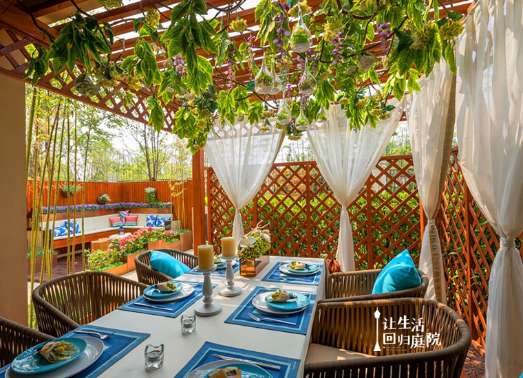 前后张望南阳50年：这样的天井，很难再有了！