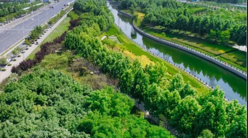 定了！“神兽”线上开学，家里有学生的必看！