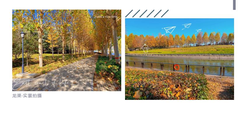 钜惠即止，捡漏经开超人气明星热盘！