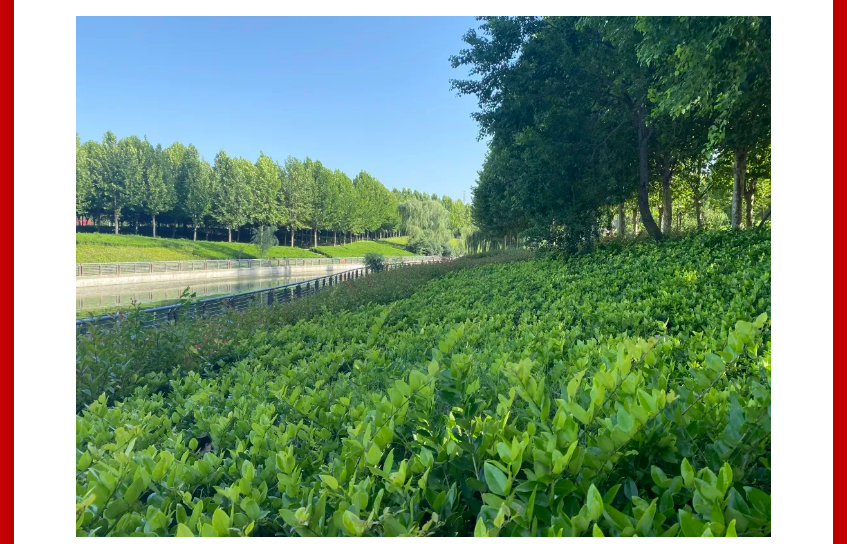 年终薅好房，这个明星红盘把“出圈”进行到底！